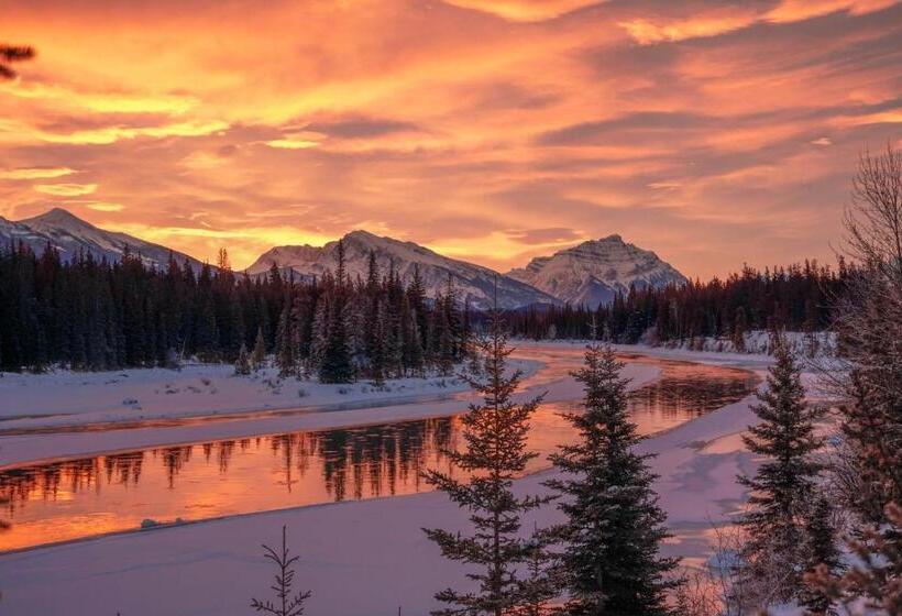 ホテル Mount Robson Inn