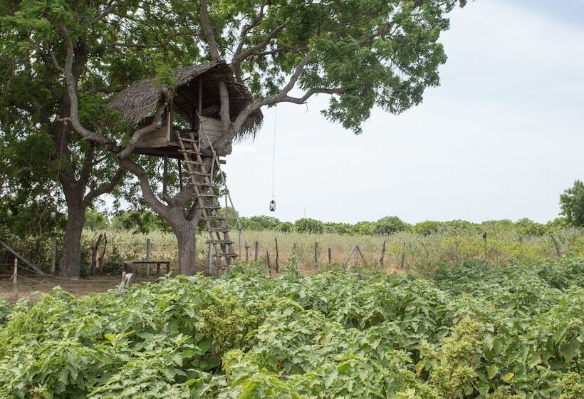 ホテル Nilaveli Beach