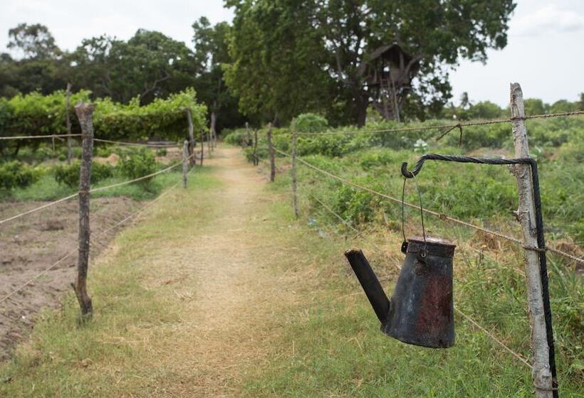 ホテル Nilaveli Beach