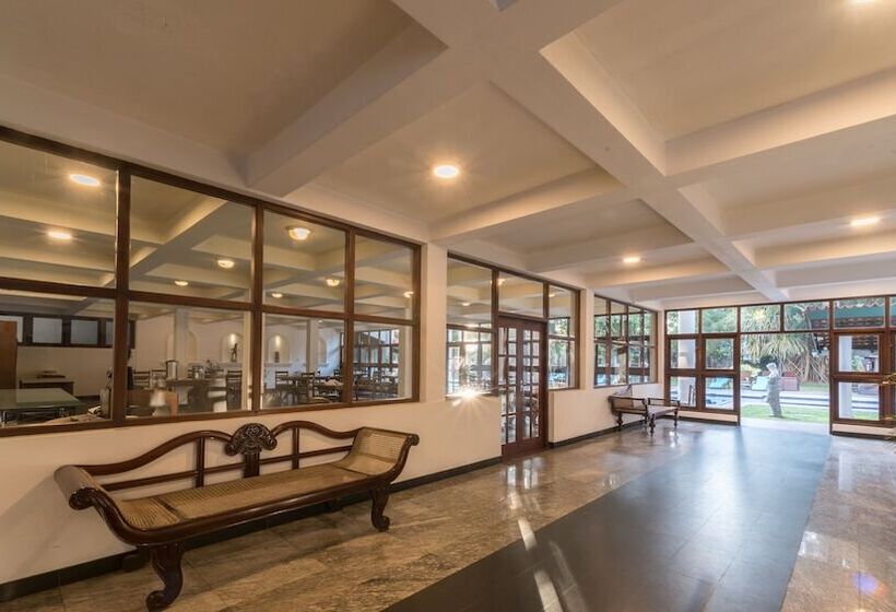 فندق Palms, Mount Lavinia