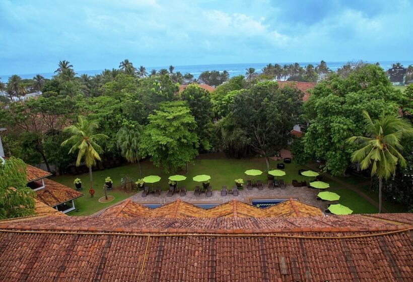 فندق Palms, Mount Lavinia