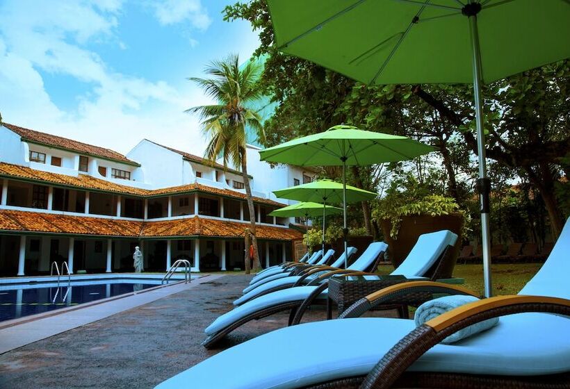 فندق Palms, Mount Lavinia