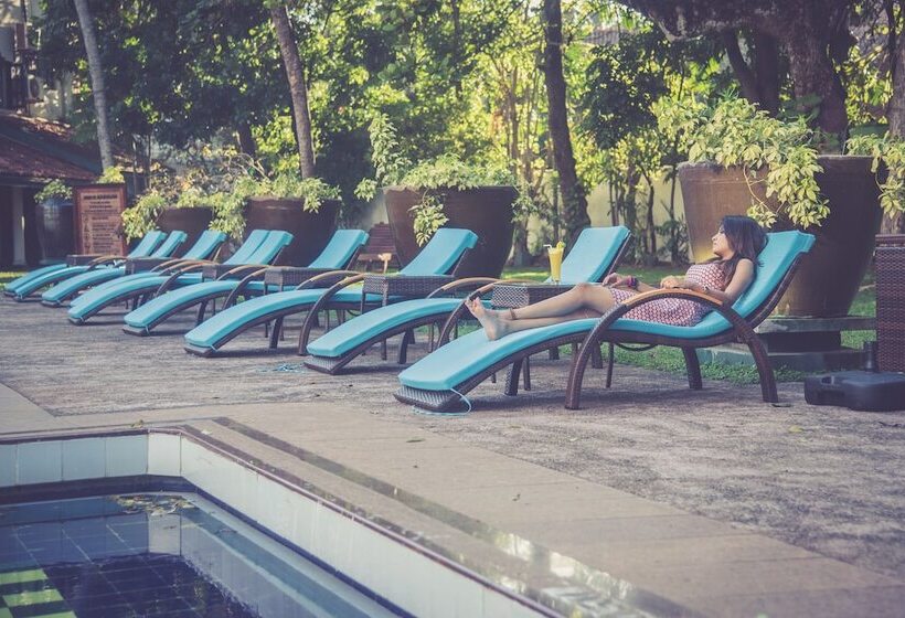 فندق Palms, Mount Lavinia