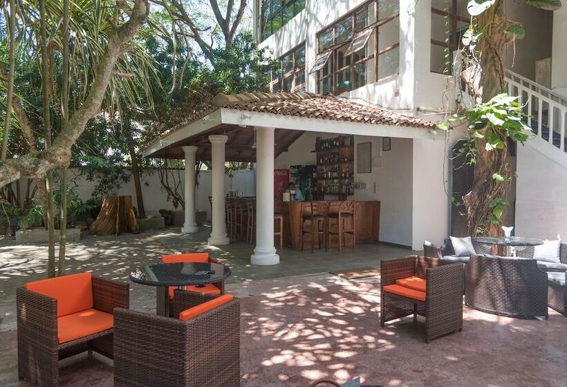 فندق Palms, Mount Lavinia