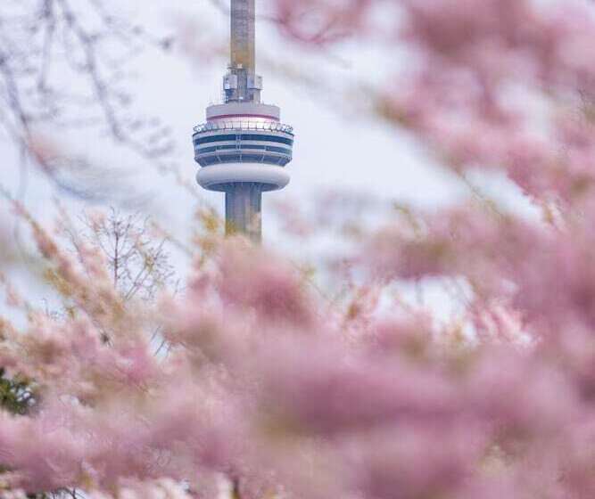 ホテル Park Hyatt Toronto