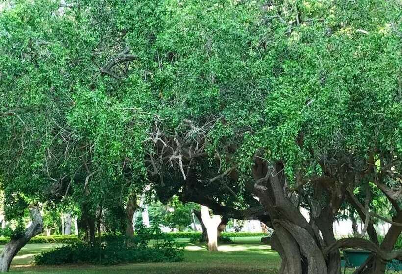 Отель Peacock Beach Resort & Spa