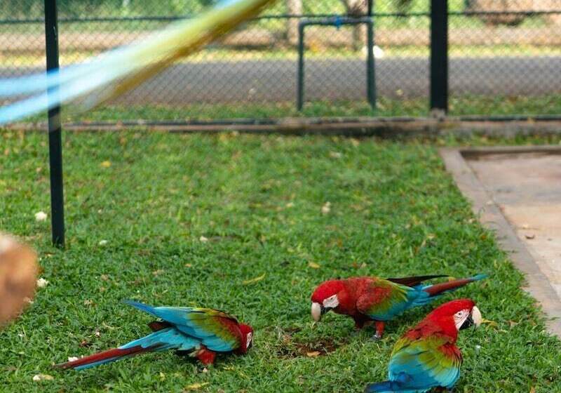 Отель Peacock Beach Resort & Spa