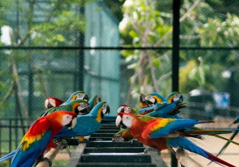 Отель Peacock Beach Resort & Spa