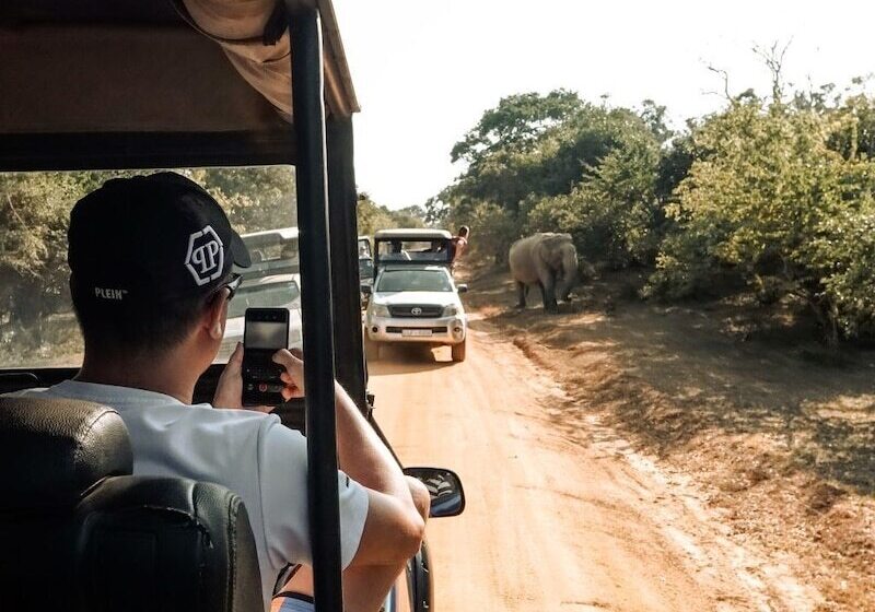 Отель Peacock Beach Resort & Spa