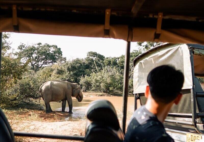 Отель Peacock Beach Resort & Spa