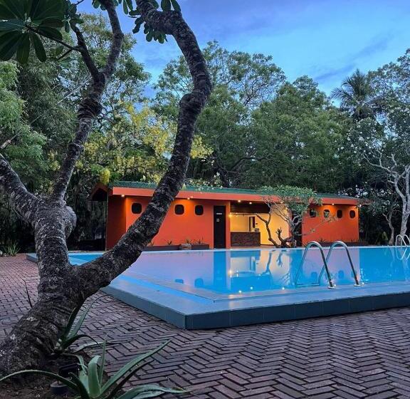 Отель Peacock Beach Resort & Spa