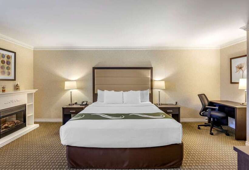 ホテル Quality Inn Airport West