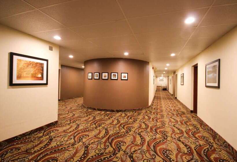 فندق Quality Inn