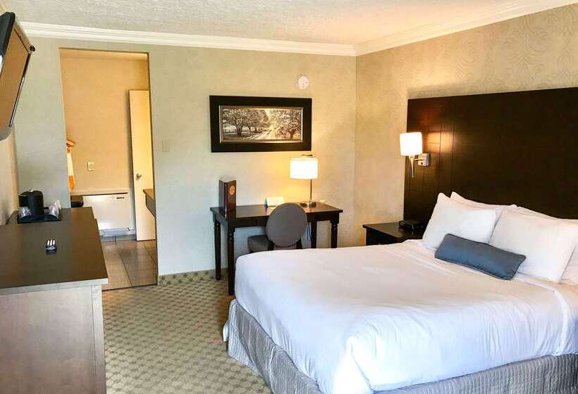 فندق Quality Inn & Conference Centre Festival