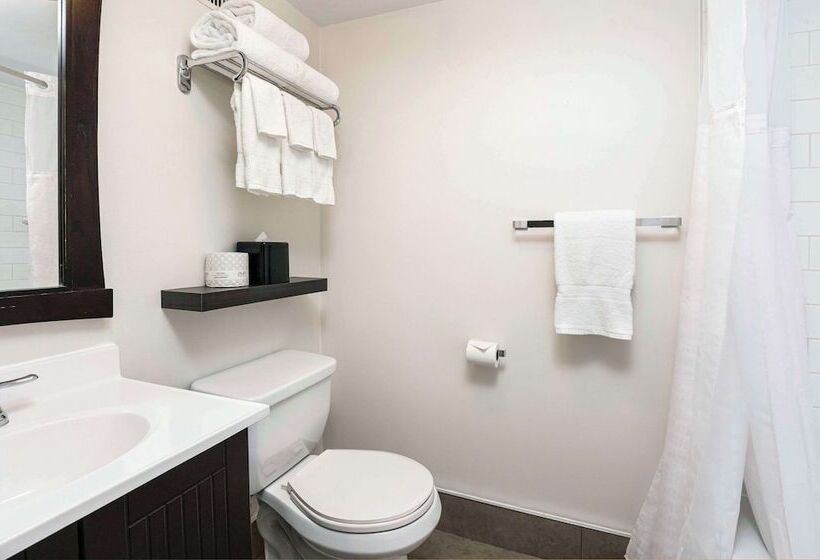 فندق Quality Inn & Conference Centre Kingston Central