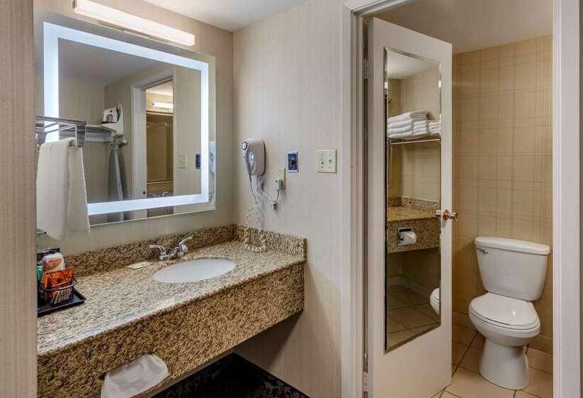 فندق Quality Inn & Conference Centre