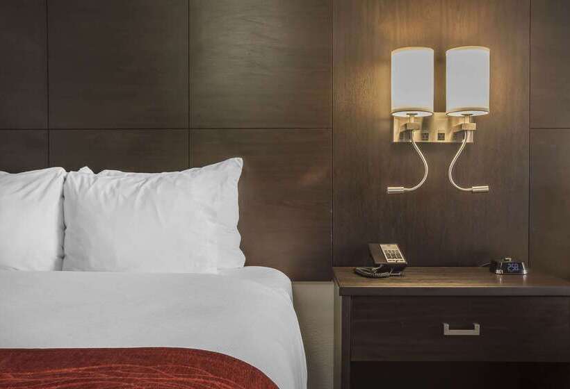 فندق Quality Inn