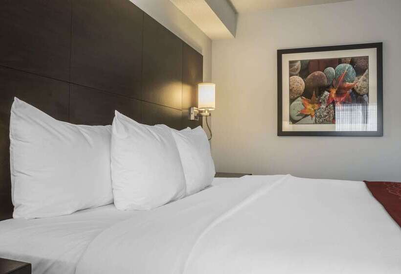 فندق Quality Inn