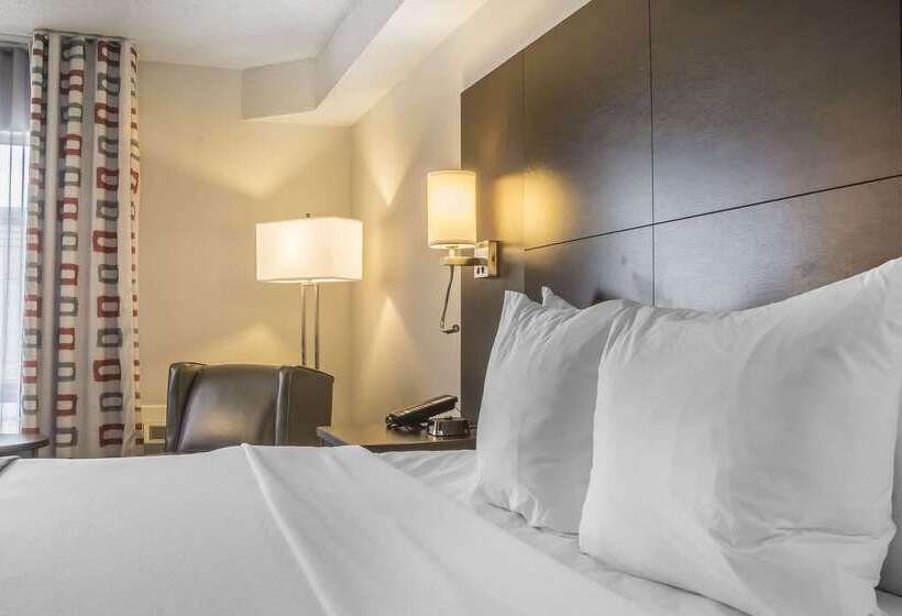 فندق Quality Inn