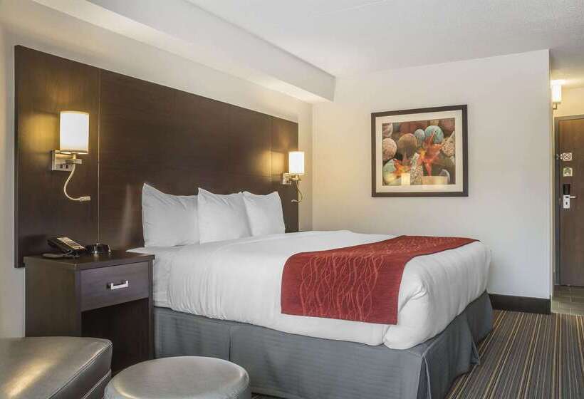 Отель Quality Inn