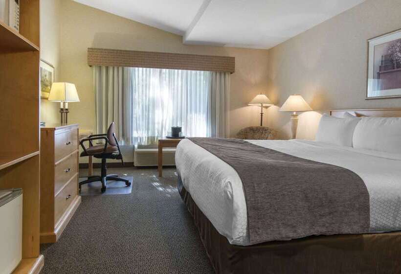 בית מלון כפרי Flamingo