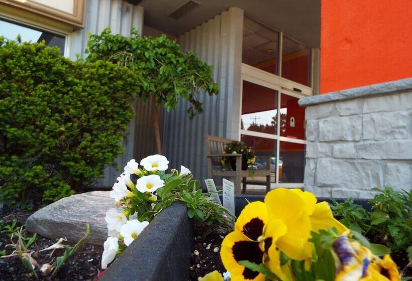 酒店 Quality Inn Owen Sound