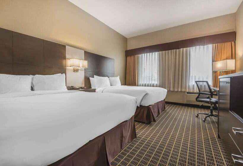 ホテル Quality Inn & Suites Downtown