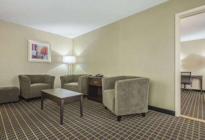 ホテル Quality Inn & Suites Downtown