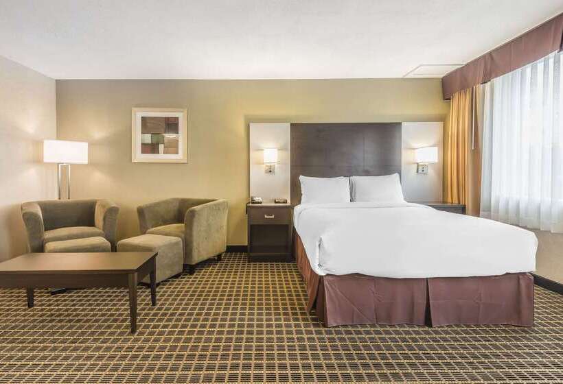 ホテル Quality Inn & Suites Downtown