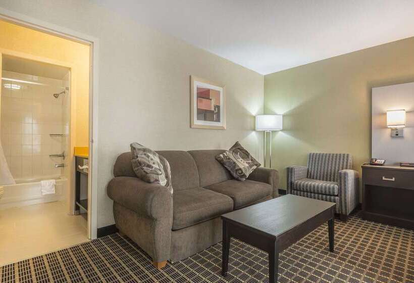 ホテル Quality Inn & Suites Downtown