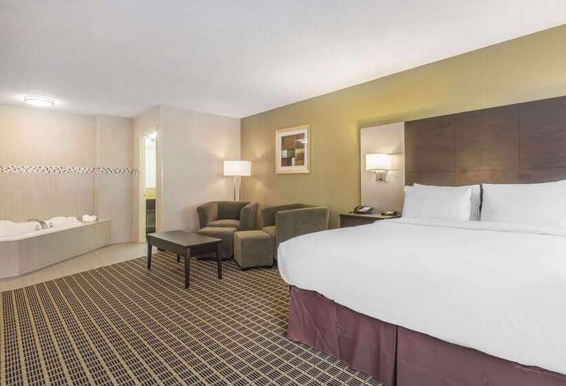 هتل Quality Inn & Suites Downtown