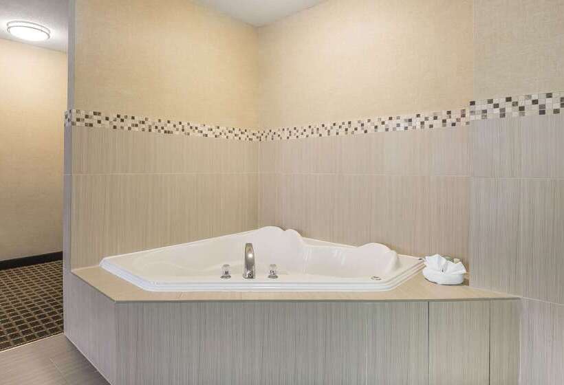 ホテル Quality Inn & Suites Downtown