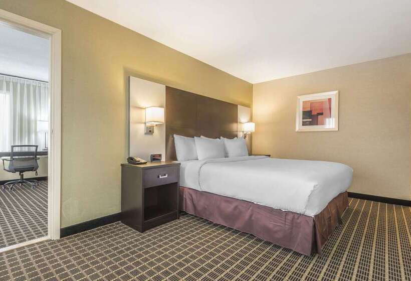 ホテル Quality Inn & Suites Downtown
