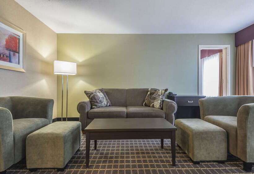 هتل Quality Inn & Suites Downtown