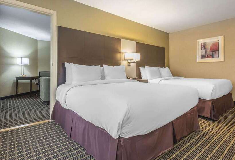 ホテル Quality Inn & Suites Downtown