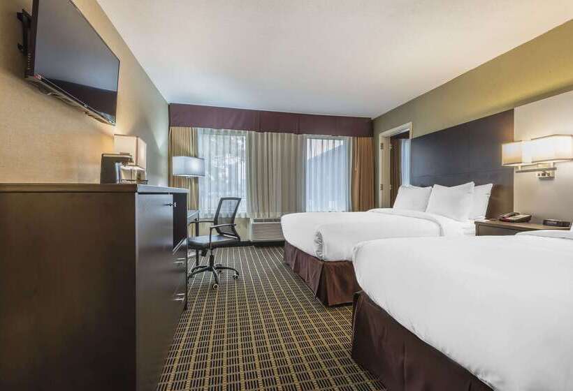 ホテル Quality Inn & Suites Downtown