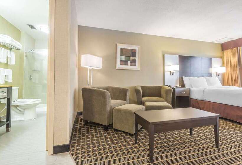 ホテル Quality Inn & Suites Downtown