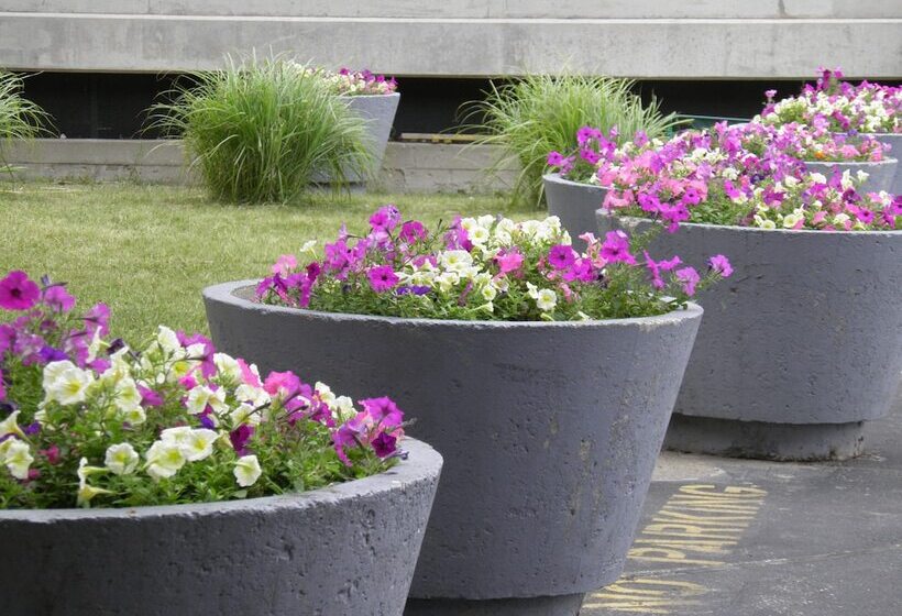 ホテル Quality Inn & Suites Downtown