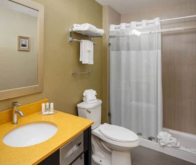 ホテル Quality Inn & Suites Downtown