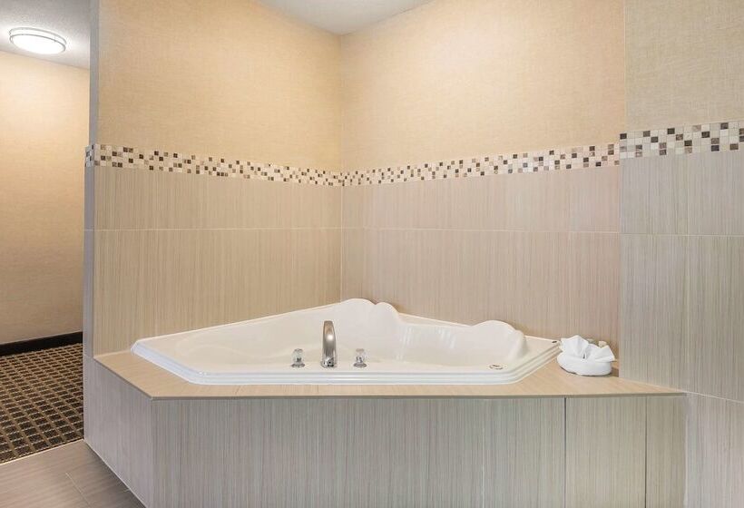 ホテル Quality Inn & Suites Downtown