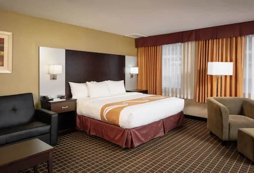 ホテル Quality Inn & Suites Downtown