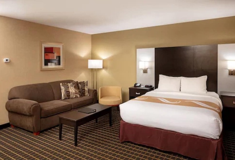 ホテル Quality Inn & Suites Downtown