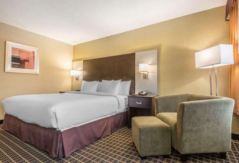 ホテル Quality Inn & Suites Downtown