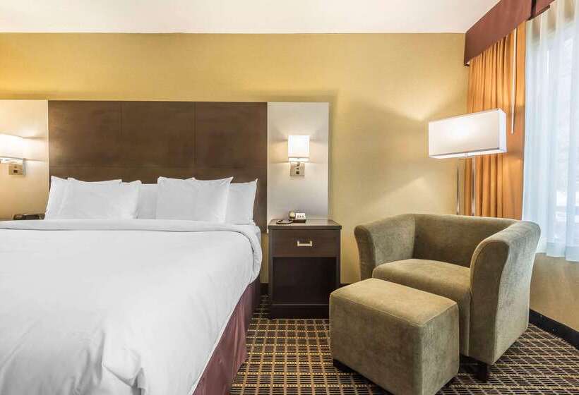 ホテル Quality Inn & Suites Downtown