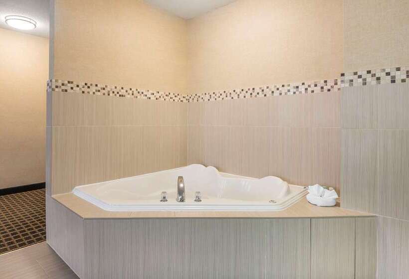 ホテル Quality Inn & Suites Downtown