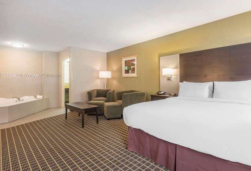 هتل Quality Inn & Suites Downtown