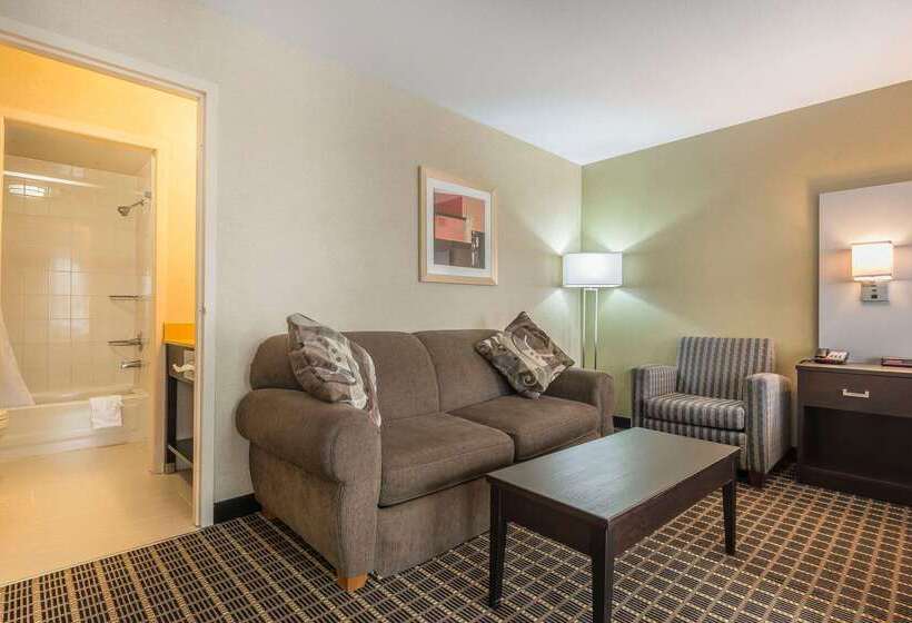 هتل Quality Inn & Suites Downtown
