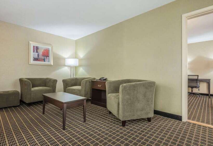 ホテル Quality Inn & Suites Downtown