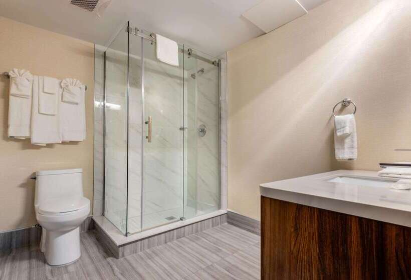 酒店 Quality Inn & Suites