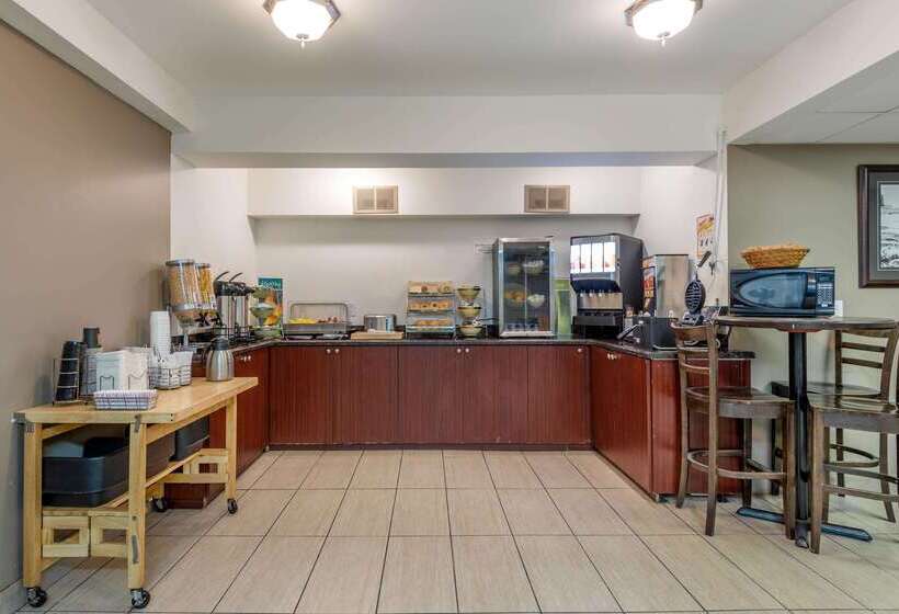 酒店 Quality Inn & Suites